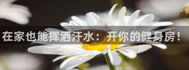 意昂4代理