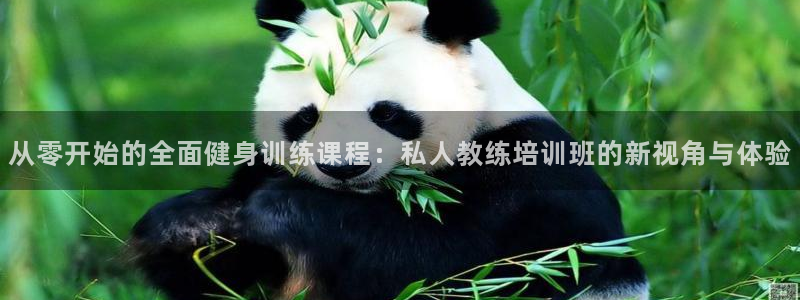 意昂4官方平台