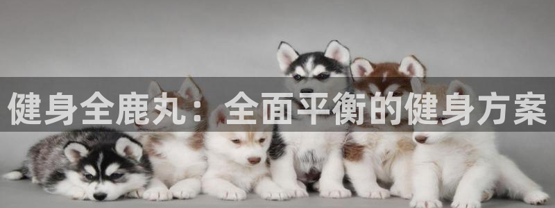 意昂4官方网站