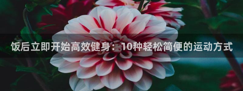 意昂4官方平台
