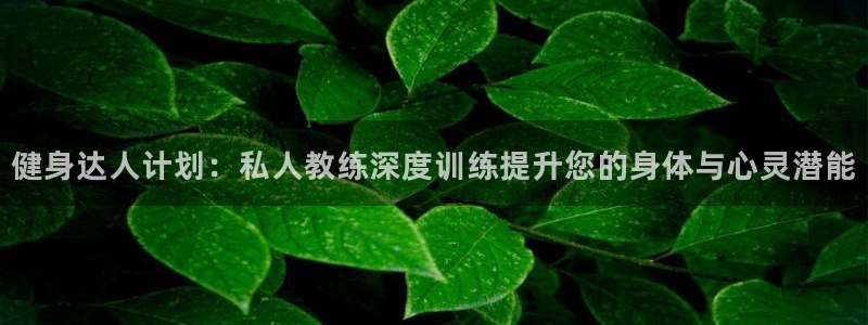 意昂4官方平台