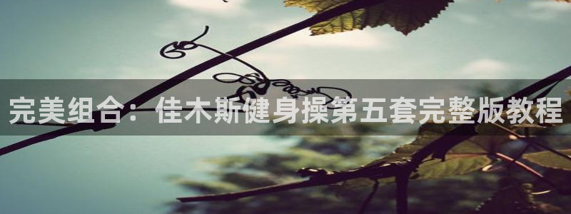 意昂4官网