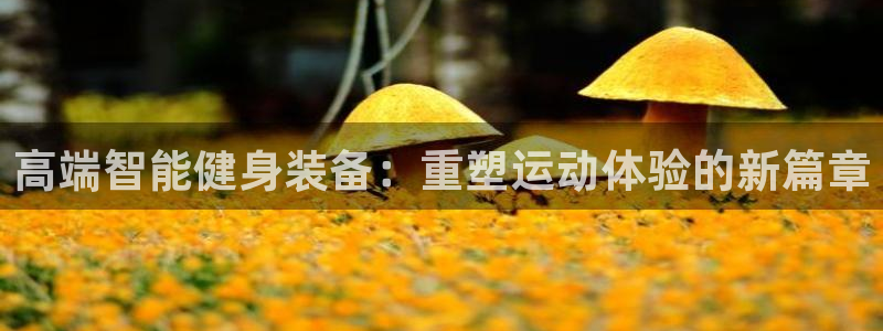 意昂4招商