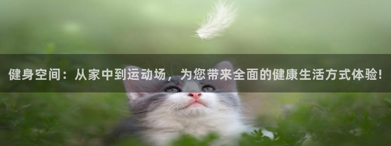 意昂4代理
