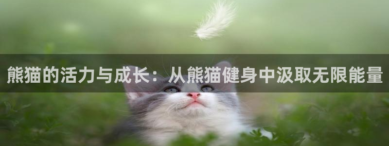意昂4代理